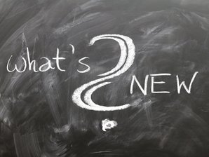 Schwarzes Tafel‑Schild mit weißer Schrift „what’s New?“ vor strukturierter Schiefer-Textur